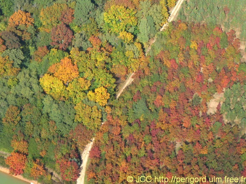 automne_5681.jpg