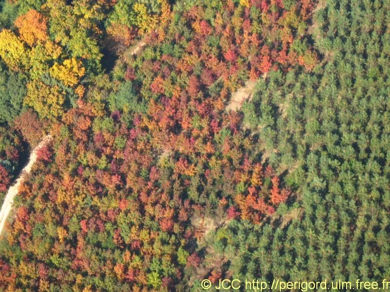 automne_5683.jpg