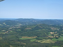 IMG_1253.jpg