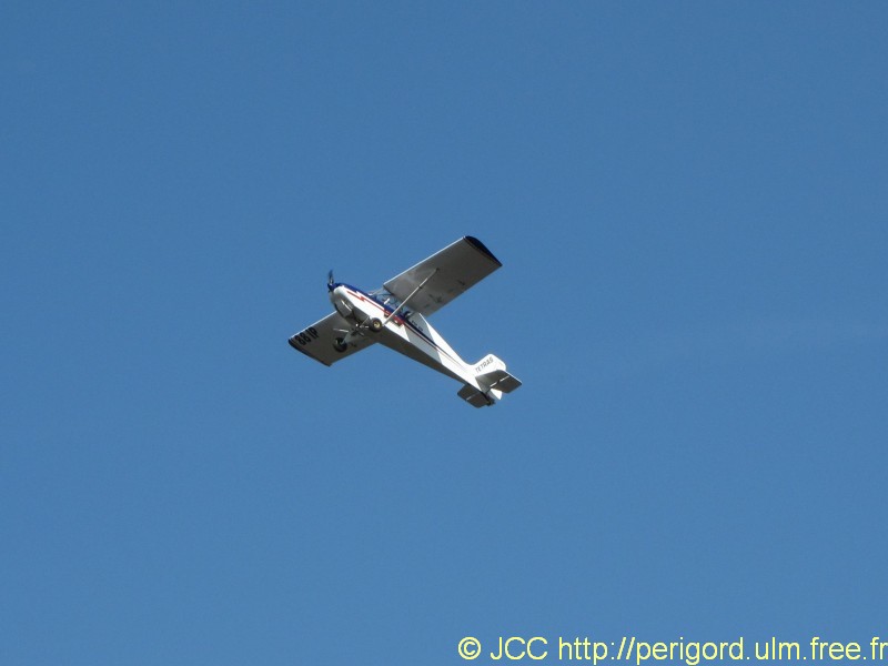 Tetras_2217.jpg