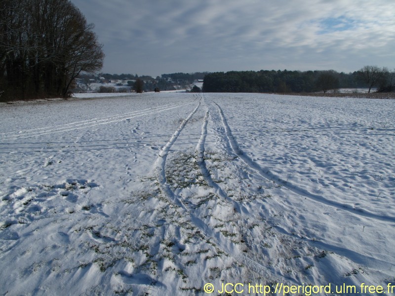 traces_3131.jpg