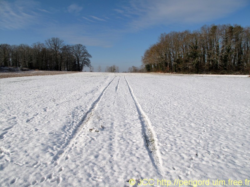 traces_3135.jpg