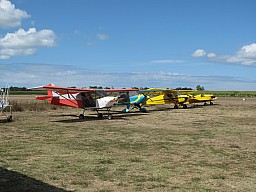 36_Marennes LFJI_6002.jpg