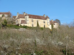 miremont_09930.jpg